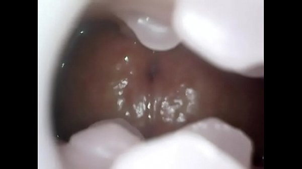 Dentro de un acariciador: Studio One