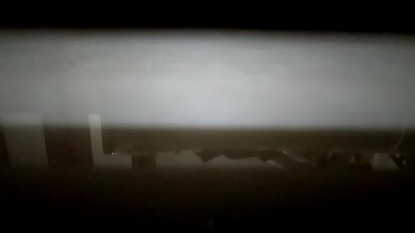 Atrapado compañero de cuarto Reflexión sobre el suelo azulejos indio