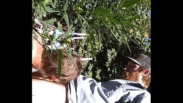 Hot suck&amp_fuck in 420 patch