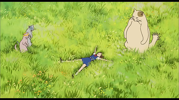 El regreso del pinche gato--para mayita