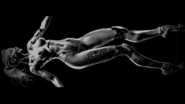 Vertical Fembots ovvero Robot Whores 2