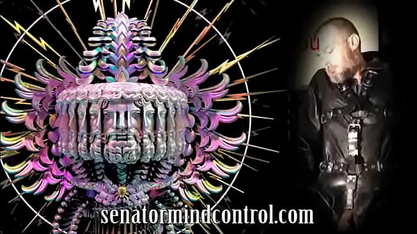 Basic Pig Training One