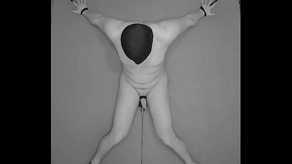 Procedimiento de Electroestimulación de Testículos de 1 HORA