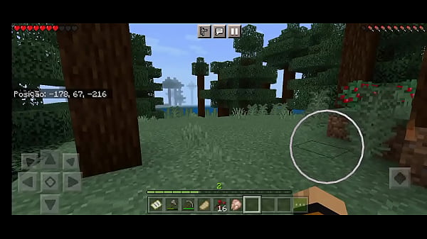 Explorando o a madeira PT2