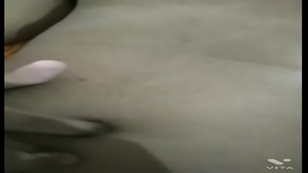 vid-210esimo tizio lecca twinky succhia il cazzo corpo mio